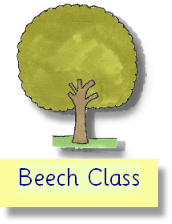 Beech Class Curriculum Overview Autumn 2025.pdf