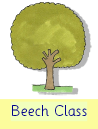 Beech Class Curriculum Overview Autumn 2025.pdf